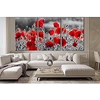 ZELLART Red Poppies Black And White №SL717 Ready to Hang Canvas Print 3 Panel / 70