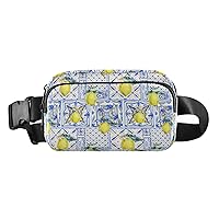 Lemon Fruit Belt Bag for Women Men Water Proof Pack Bag with Adjustable Shoulder Tear Resistant Fashion Waist Packs for Hiking
