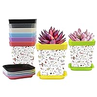 Flower Pots Gardening Containers (8 Colors) Xmas Gift Nursery Pots Planters 8-Pack Plant Pots with Pallet