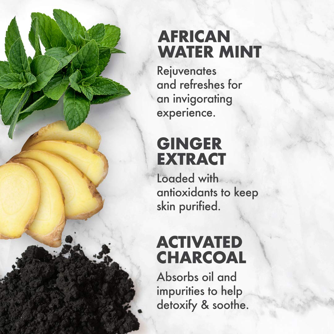 SheaMoisture African Wild Water Mint Detox & Stimulate Hand & Body Scrub, 12 Ounce (Pack of 1)