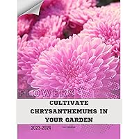 Cultivate Chrysanthemums in Your Garden: Become flowers expert Cultivate Chrysanthemums in Your Garden: Become flowers expert Kindle Paperback