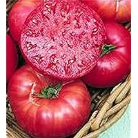 Brandywine Pink Heirloom Tomato 75 Seeds Non-gmo 100% ORGANIC