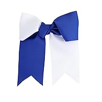 Two Tone Jumbo Bow Clip with Tails (Blue & White)