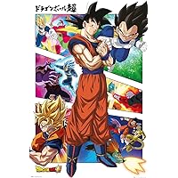 ABYstyle - DRAGON BALL - Poster His Goku story (91.5x61)