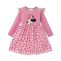 Disney Mickey and Friends Toddler Kids Girl Dress Character Print Long-Sleeve Mesh Overlay Dress