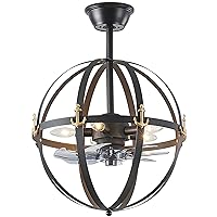 HuixuTe Caged Ceiling Fan with Lights Remote Control, 19