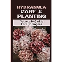 Hydrangea Care & Planting: Secrets To Caring For Hydrangeas: Hydrangea Care Indoors