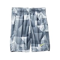 Nike Boys Allover Print Legacy Shorts (2T, Neutral Grey)