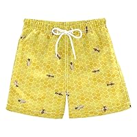 Boys Swim Trunks with Mesh Lining Toddler Board Beach Shorts Quick Dry for Kids Drawstring