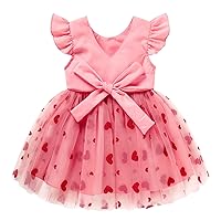 Valentine's Day Baby Girl Tulle Dress Kids Heart Tutu Skirt Lace Sleeveless Princess Sundress