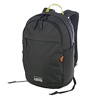 Eddie Bauer Venture Backpack with Organization Compartments and Hydration/Laptop Compatible Sleeve, Carbon Black, 20L