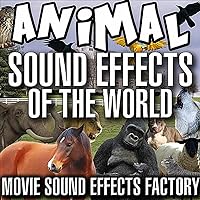 Animal Sound Effects of the World Animal Sound Effects of the World MP3 Music