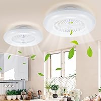 Herrselsam Pack of 2 Ceiling Fans with Lighting 80 W Quiet Ceiling Lamp with Fan Adjustable Wind Speed and 3 Colour Temperatures with Timer for Living Room Bedroom [Energy Class E]