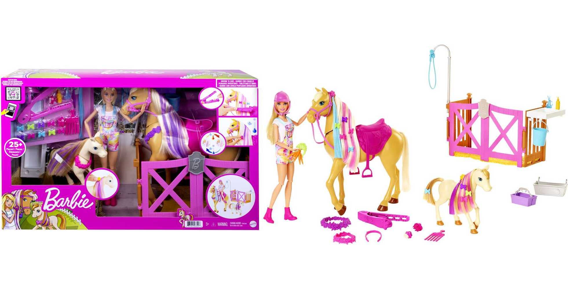 Barbie Groom 'N Care Horse Playset with Blond Doll, 2 Nodding Horses & 20+ Accessories, Style Color-Change Manes with Tool & Clips