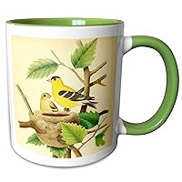 3dRose Vintage Bird Art Print American Goldfinch Beautiful Yellow Birds Nest - Mugs (mug-364680-7)