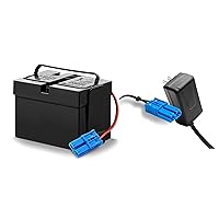 12V Battery and Charger Combo Set for 12 Volt Kid Trax Ride On Dodge Viper STR Dodge Ram 3500 Rideamales Scout Pony Josie Unicorn Disney Mickey Minnie Mouse Coupe Child Ride On Car
