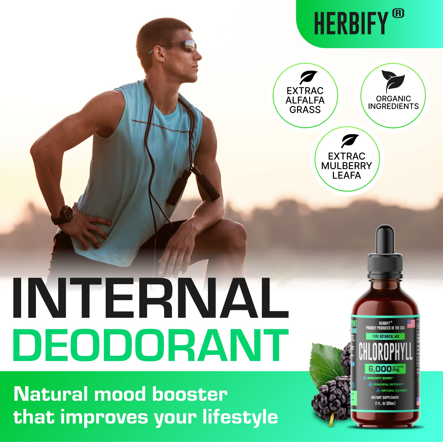 HERBIFY Bundle - Mullein Leaf Extract & Chlorophyll Extract - Respiratory Support & Body Detox
