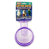 Lixit Critter Bright Cages Bowls in Assorted Colors for Rabbits, Ferrets, Dogs, Guinea Pigs and Other Pets. (10 Ounce)