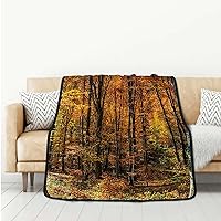 Apricot Brown Red Double Sided Throw Flannel Fleece Blanket Fall Forest Deciduous Trees Throw Blanket Fluffy Soft Fuzzy Thick Blanket for Couch and Bed Autumn 50