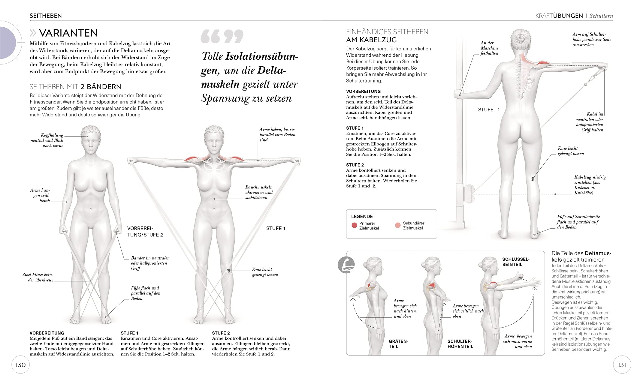 Krafttraining – Die Anatomie verstehen: Mit Übungen zum gezielten Muskelaufbau für einen definierten Körper