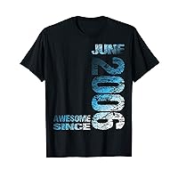 Awesome since June 2006 17th Birthday Born 2006 T-Shirt