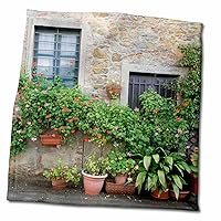 3dRose - Europe, Italy, Tuscany. The Town of Volpaia. - Towel - (twl-206626-3)