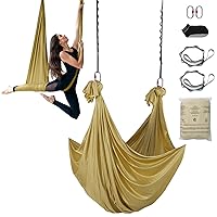 Aerial Yoga Hammock & Swing, 4.4 Yards, Aerial Yoga Starter Kit with 100gsm Nylon Fabric, Full Rigging Hardware & Easy Set-up Guide, Antigravity Flying for All Levels Fitness Bodybuilding, Gold