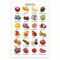 Bliss Monkey Co. Fruits Products Chart - Healthy Eating Nutrition - Fruit Food Groups - Fruit Food Facts - Food Pyramid 12 x 18 Inch Poster - Unframed - Premium 100lb Gloss - Made In USA - BMCP0467