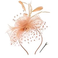 Women's Feather Mesh Flower Fascinator with Headband and Clip Wedding Tea Party Kentucky Derby Fascinator Hats