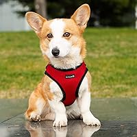Mr. Peanut's PupTrek Small Dog/Cat Soft Mesh Step in Harness Vest (Large, Red)