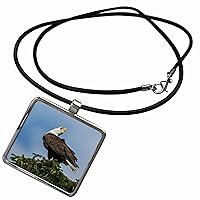 3dRose Danita Delimont - Eagle - Bald eagle calling - Necklace With Pendant (ncl-367050)