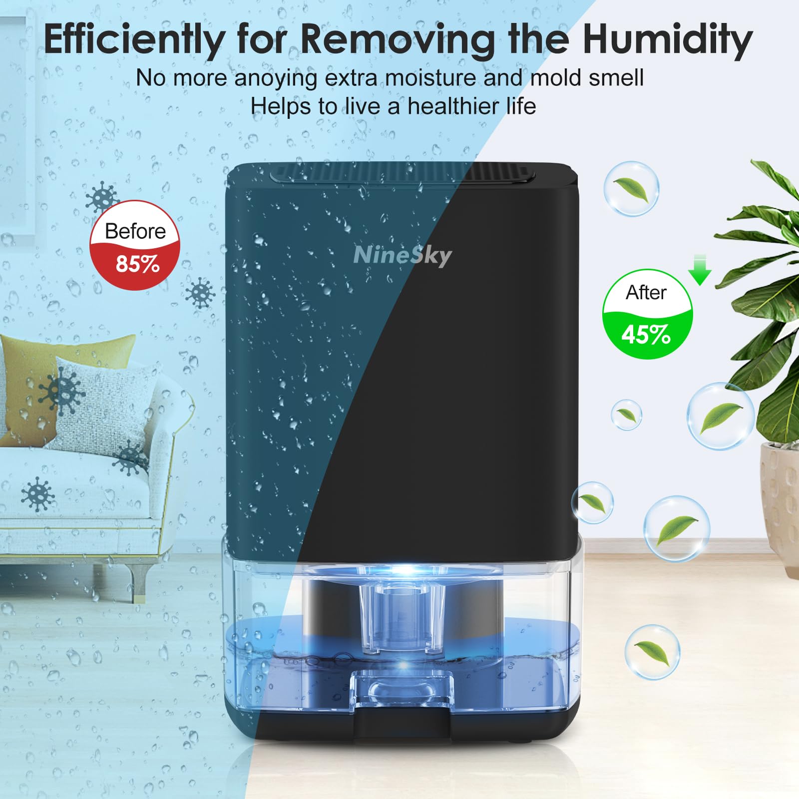 NineSky Dehumidifier for Home, 30oz Water Tank,(300 sq.ft) Dehumidifiers for Bedroom, Bathroom, Basement with 7 Colorful Lights, Auto Shut Off(C1 Black)
