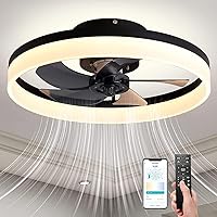 20'' Modern Low Profile Ceiling Fan with Light, Dimmable Low Profile Ceiling Fans with,Smart 3 Light Color Change and 6 Speeds - Black