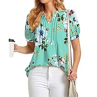 BISHUIGE Womens Summer Tops V-Neck Casual Loose T-Shirt Fashion Lantern Sleeves Blouses