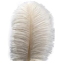 Lampu 10pcs Ostrich Feathers 12-14 inch(30-35cm) Plume Home Wedding Decoration（White）