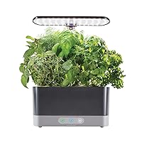 AeroGarden Harvest XL with Gourmet Herbs Seed Pod Kit - Indoor Garden with LED Grow Light, Black