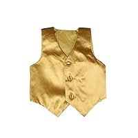 Baby Toddler Kids Little Boys Formal 23 Color Satin Vest S-7 (S:(0-6 Months), Gold)