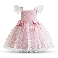 HNXDYY Baby Girl Tulle Dress Baby Birthday Party Dress Tutu Dresses for Toddler Girls