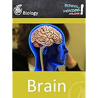Brain - Structure and Functions - School Movie on Biology