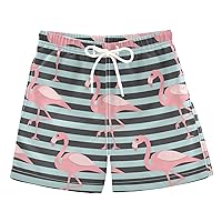Cute Animal Flamingo Boys Swim Trunks Toddler Beach Swimsuit Board Shorts Quick Dry for Kids Adjustable Waist 3T