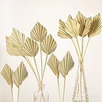 Boho Dried Palm Spears Small Natural Dried Palm Fans Dried Palm Leaves Dried Palm Leaf Palm Fan Leaf with Stem Dried Leaf Decor for Vase Wedding Party Office Home Wall Decor (Natural Color, 20 Pieces)