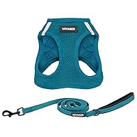 Voyager Step-in Air All Weather Mesh Harness and Reflective Dog 5 ft Leash Combo with Neoprene Handle, for Small, Medium and Large Breed Puppies by Best Pet Supplies - Set (Turquoise), L