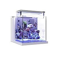 Mua mini fish tank chính hãng giá tốt tháng 12, 2023 tại Mỹ