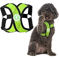 Gooby Comfort X Step In Harness - Green, Medium - No Pull Small Dog Harness Patented Choke-Free X Frame - Perfect on the Go Dog Harness for Medium Dogs No Pull or Small Dogs for Indoor and Outdoor Use