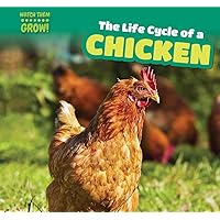 The Life Cycle of a Chicken (Watch Them Grow!)