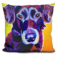 Lab Cole Decorative Accent Throw Pillow