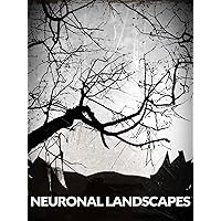 Neuronal Landscapes