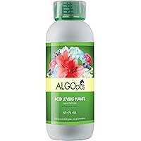 AlgoPlus for Acid Loving Plants - Perfectly Balanced Liquid Fertilizer for Azaleas, Camellias, Rhododendron & More - 1L Bottle