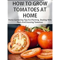 How To Grow Tomatoes At Home: Home Gardening Tips For Planting, Dealing With Pests And Growing Tomatoes (2013 Edition)