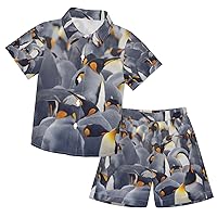 King Penguin Boys Hawaiian Shirts Short Sleeve T-Shirt and Short Set Short Sleeve T-Shirt and Short Sets,3T